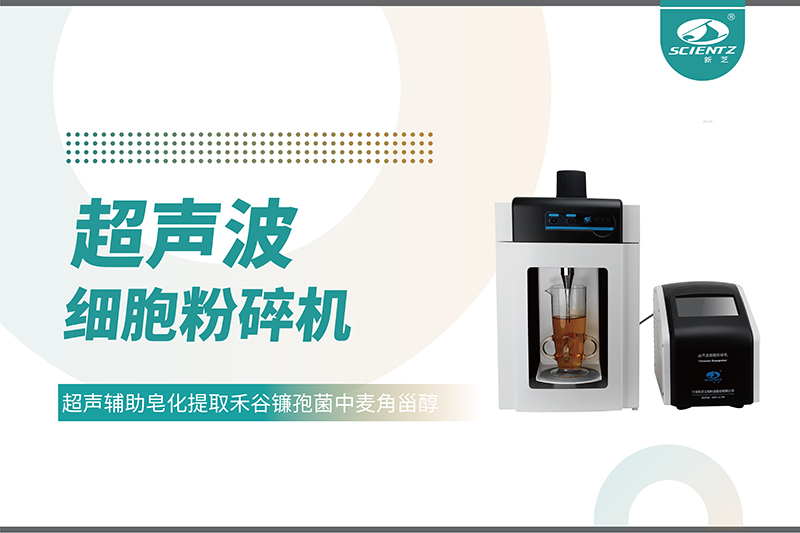 超声辅助皂化提取禾谷镰孢菌中麦角甾醇