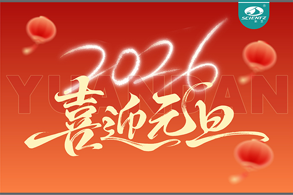 董事长周芳女士新年献词：心有定力，沐光而行